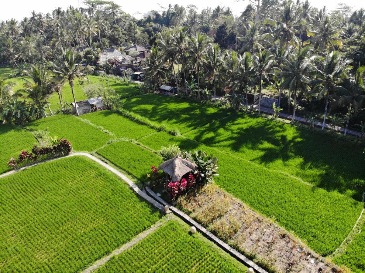 Mathis Retreat Ubud Экстерьер фото